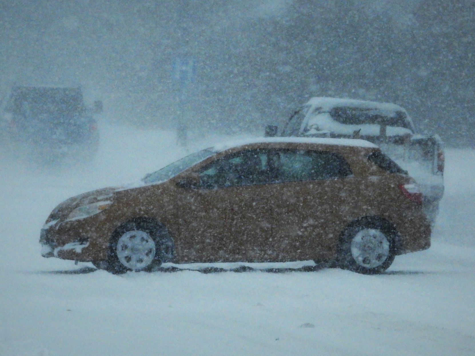Black Hills Blizzard2.jpg